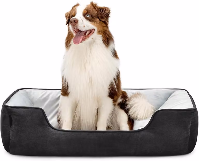 Cuccia per cani, 110x80 cm, 2-in-1, aspetto simile al velluto, nero grigio, per cani
