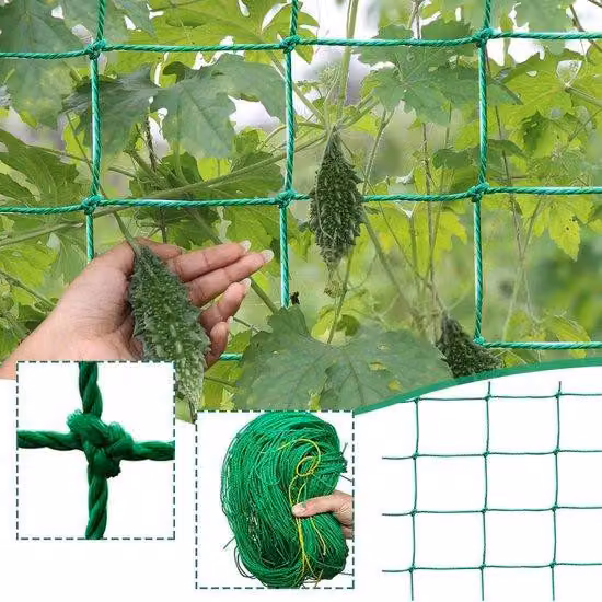 Rete per piante rampicanti - Rete da giardino per esterni - Rete per cetrioli - Pomodori - Graticcio da 27 metri - Rete di sostegno per frutta - Giardino - Fagioli (1,8 m x 1,8 m)