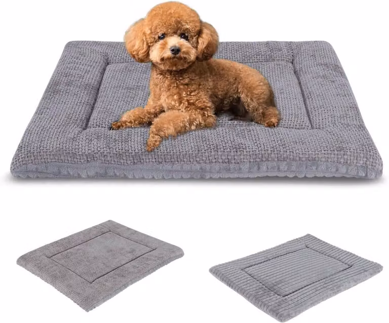 Cuccia per cani, reversibile, in morbido peluche, con materasso in memory foam, adatta a cani e gatti, ideale per il soggiorno