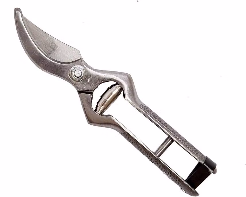 FORBICI DA VIGNA FALCI 25 cm