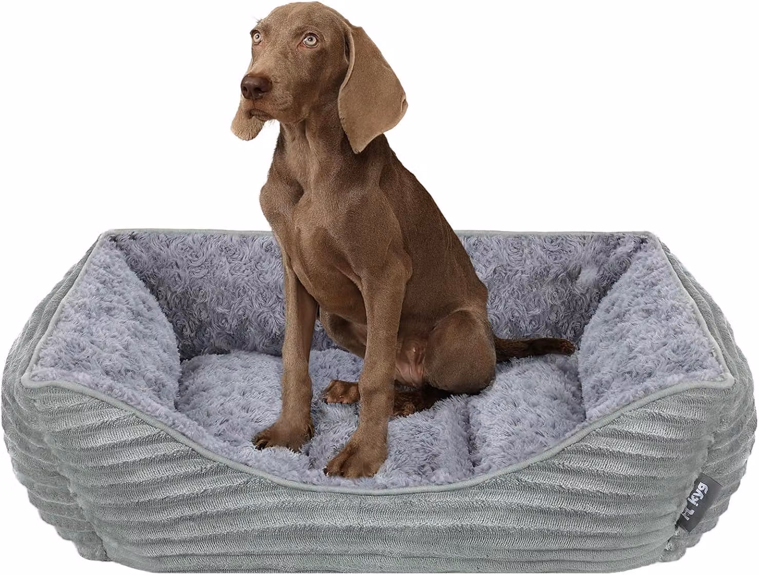 Cuccia per cani, taglia L, grigia, coperta morbida per interni