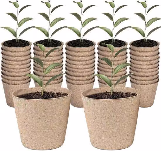Vasi per semi in fibra - 50 pezzi di vasi biodegradabili per la germinazione e la coltivazione delle piantine