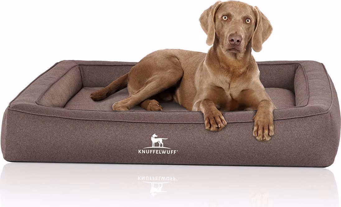 Cuccia ortopedica per cani Knuffelwuff in velluto con caratteri intrecciati a mano Youcome XXL grigio-marrone