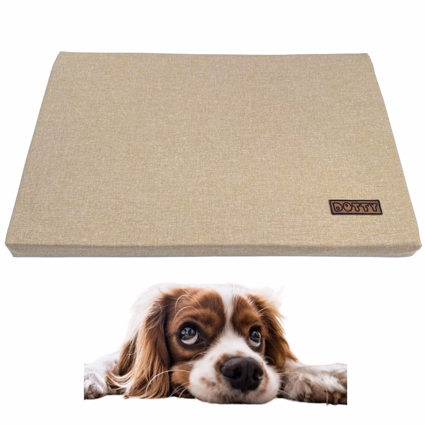 Tappetino per cani DOTTY M 75x60 cm beige – tappetino da viaggio versatile e cuccia per cani di taglia media, per auto, trasportino o bagagliaio, facile da pulire e resistente