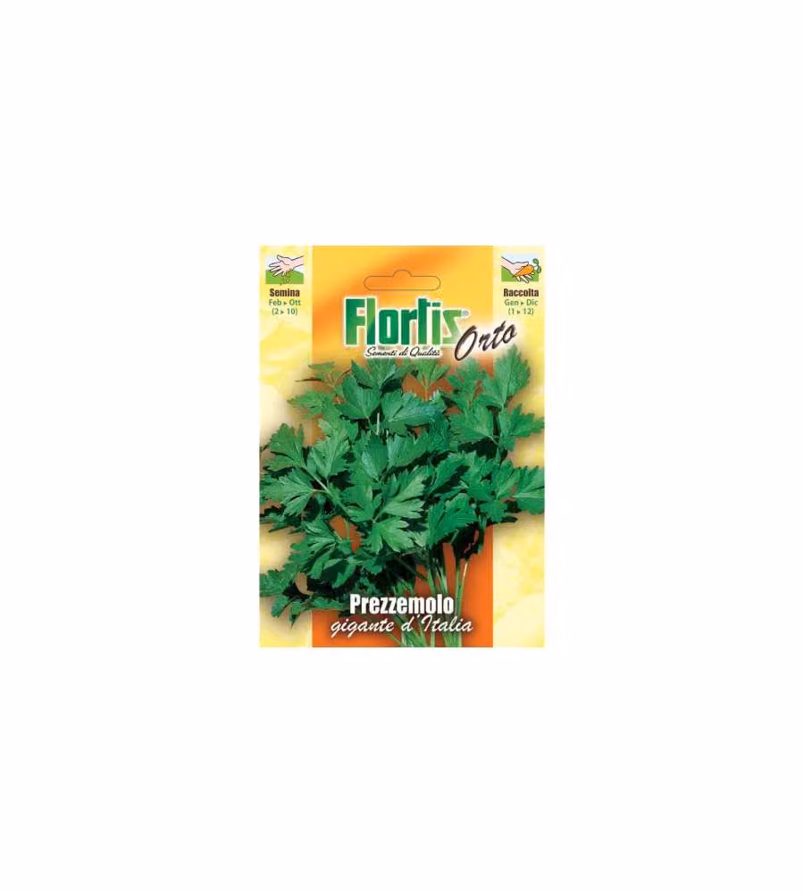 Flortis Semi di Prezzemolo Gigante Di Napoli - Sementi aromatiche - Pronte per la semina
