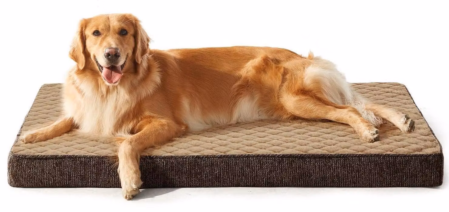 Cuccia ortopedica per cani, taglia XXL, 120x74x10 cm, colore marrone, lavabile, antiscivolo