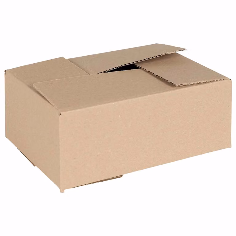 Set di 50 scatole pieghevoli vidaXL in cartone ondulato color beige, L 25 x P 17,5 x H 10 cm