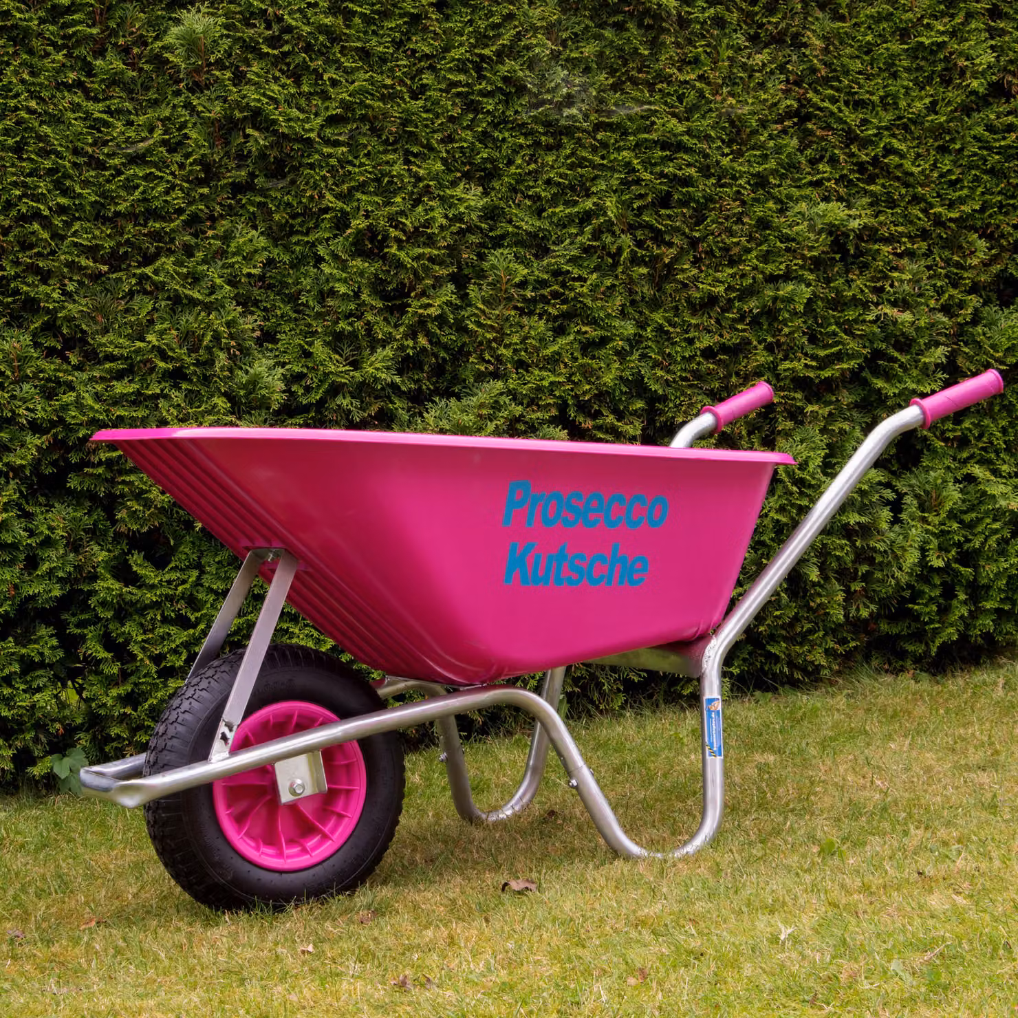 Carriola Proseccokutsche PP 100 L 250 kg Carriola da giardino Carriola rosa