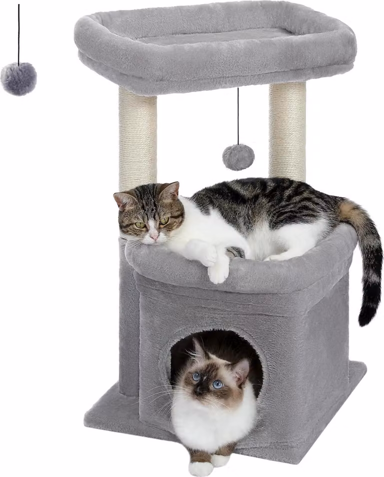 Torre per gatti, appartamenti spaziosi, tiragraffi, AMT0179GY