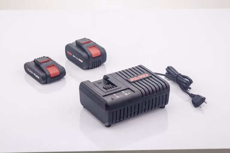 Caricabatterie rapido EASY FLEX C 60 Li Oggetto d'acquisto