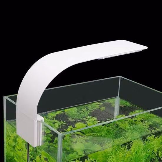 Illuminazione LED bianca per acquari, lunghezza 220 mm.