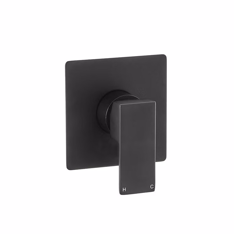 Miscelatore Termostatico Moderno Quadrato Manuale – 1 Via – Nero – Preto