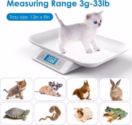 Bilancia Digitale Bianca per Bambini e Animali con Display Digitale in Plastica
