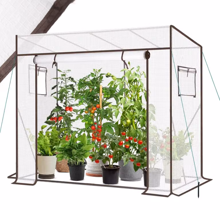 Omgoods - Serra da giardino con porta scorrevole per pomodori e ortaggi, 200 x 77 x 146/170 cm