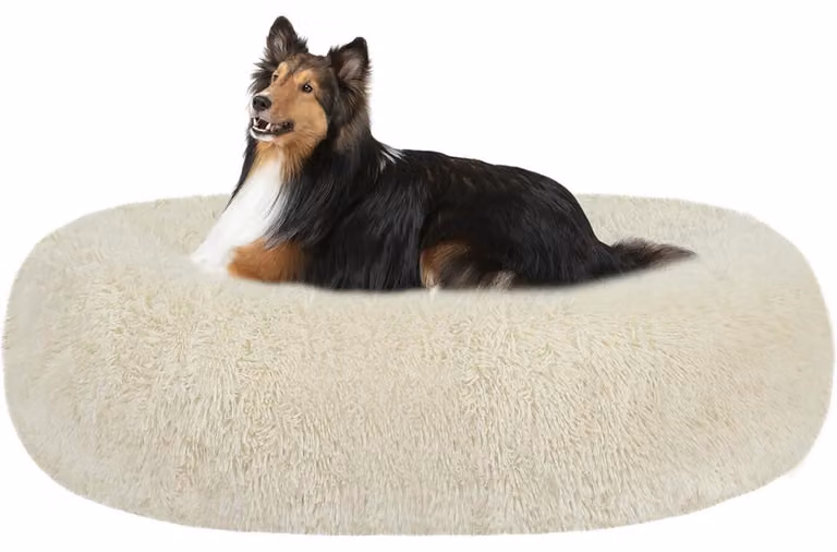 Cuccia ortopedica per cani, forma a ciambella, lavabile, diametro 80 cm, color beige