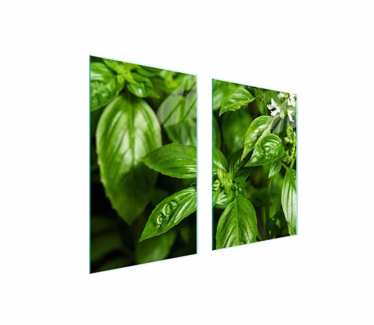 Pannello Di Protezione In Vetro Per La Cucina 65X52 Basilico