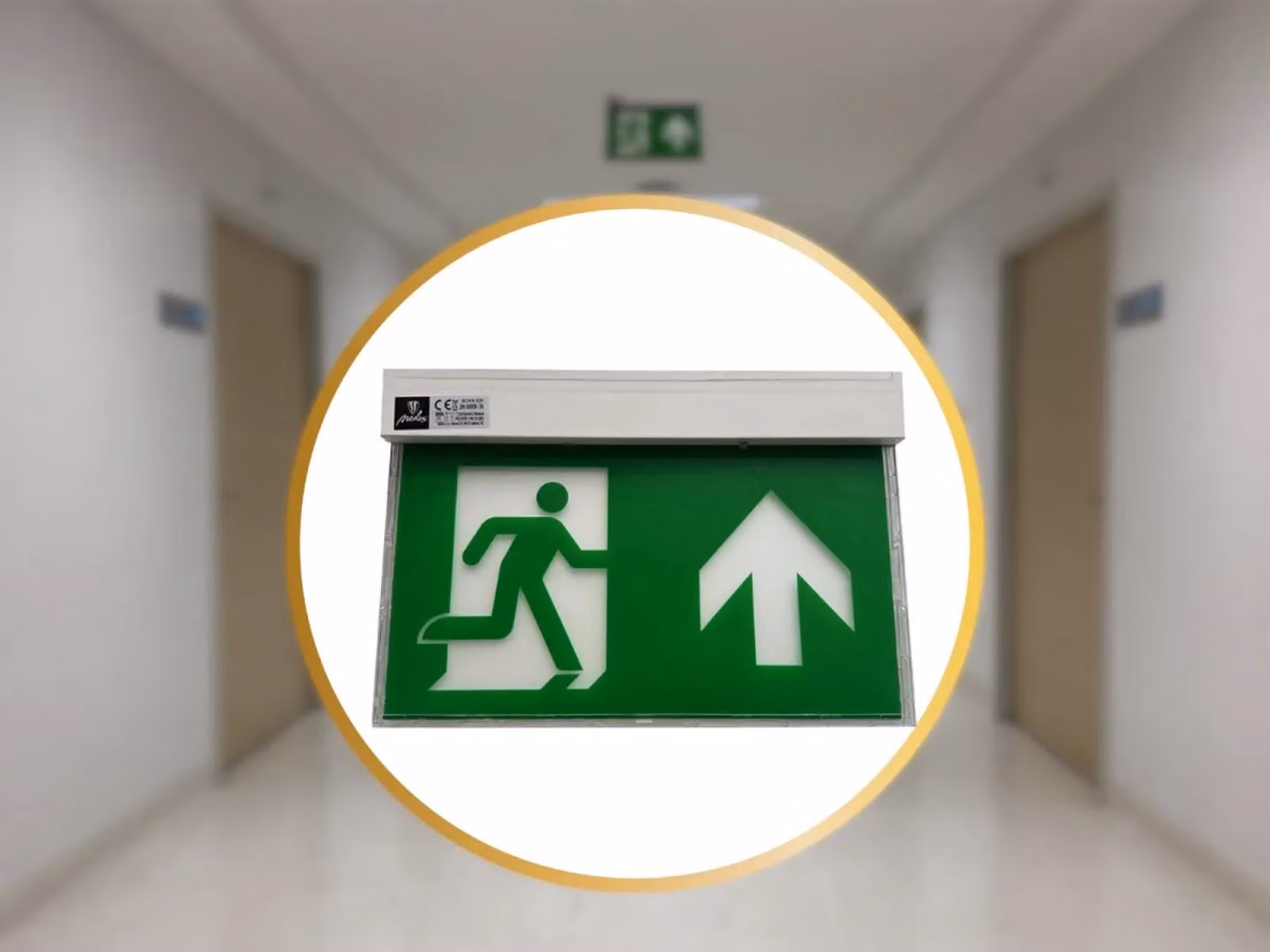 NEDES - Lampada di emergenza a LED da 2W - (LEL204) Ned