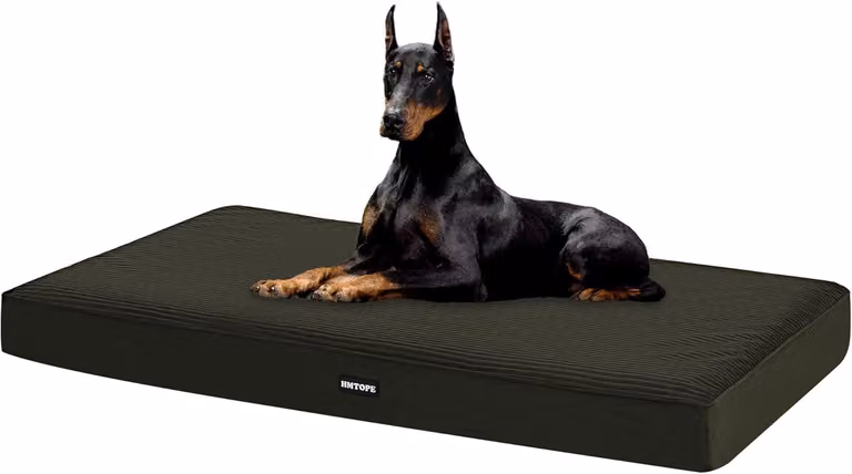 Cuccia per cani, 120 cm, 10 cm di spessore, adatta a cani di grossa taglia, color verde oliva, antiscivolo, ideale per cani di grossa taglia