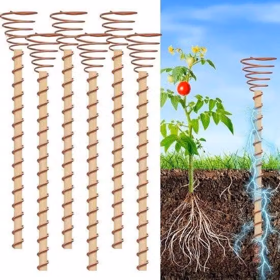 Set di pali per orticoltura elettroponici - Rame - Pali da giardino - Antenna - per ortaggi e frutta nel cortile