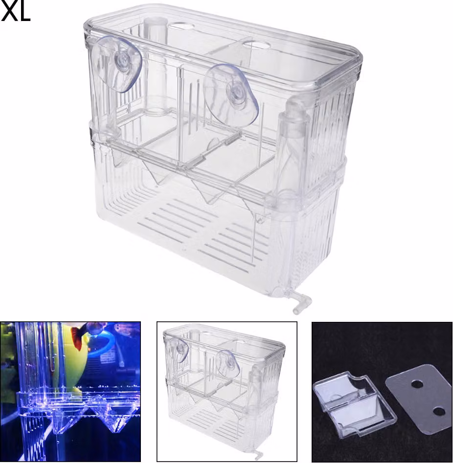 Acrilico pesce allevamento acquario doppio strato appeso avannotti bambino Beilubator Net isolamento Box