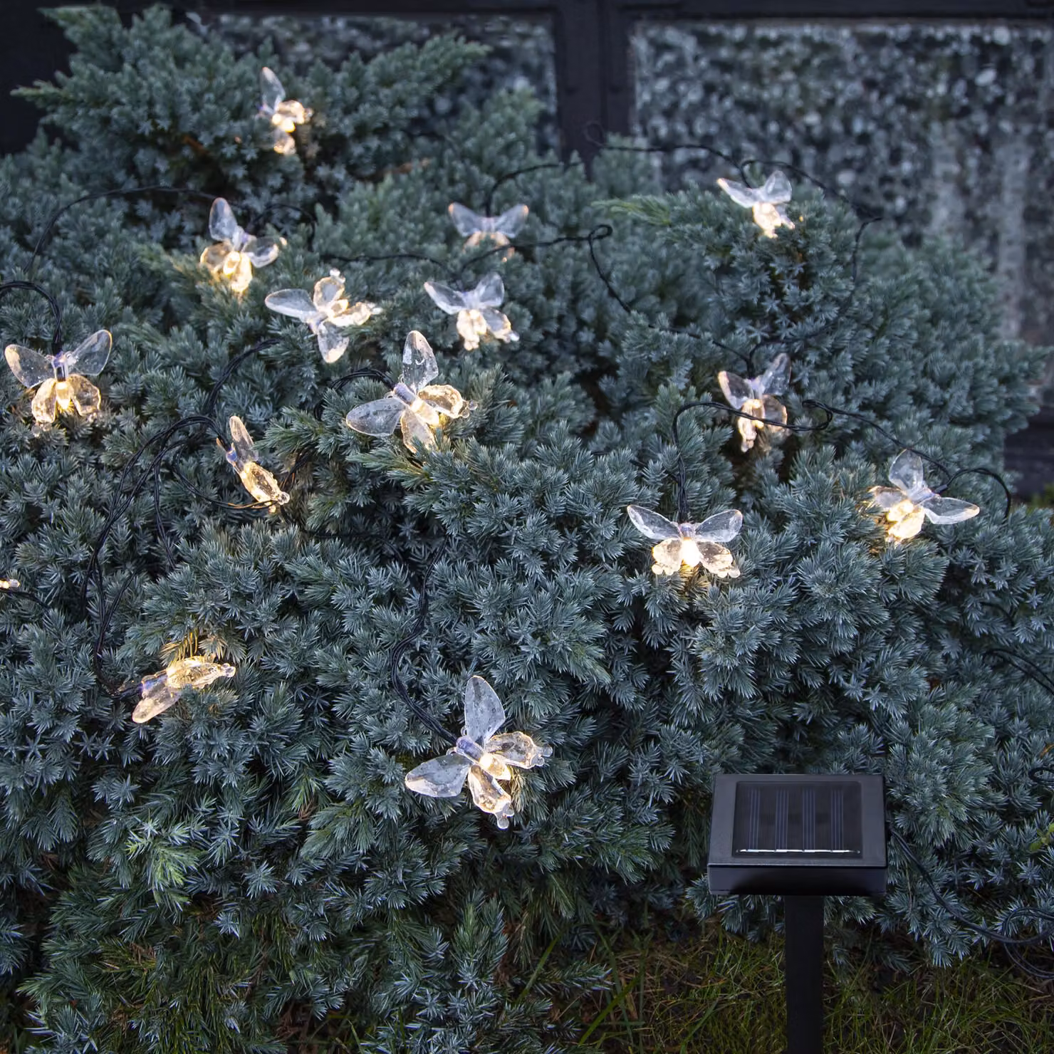 Luci solari a LED 'Papillon', 15 ww LED