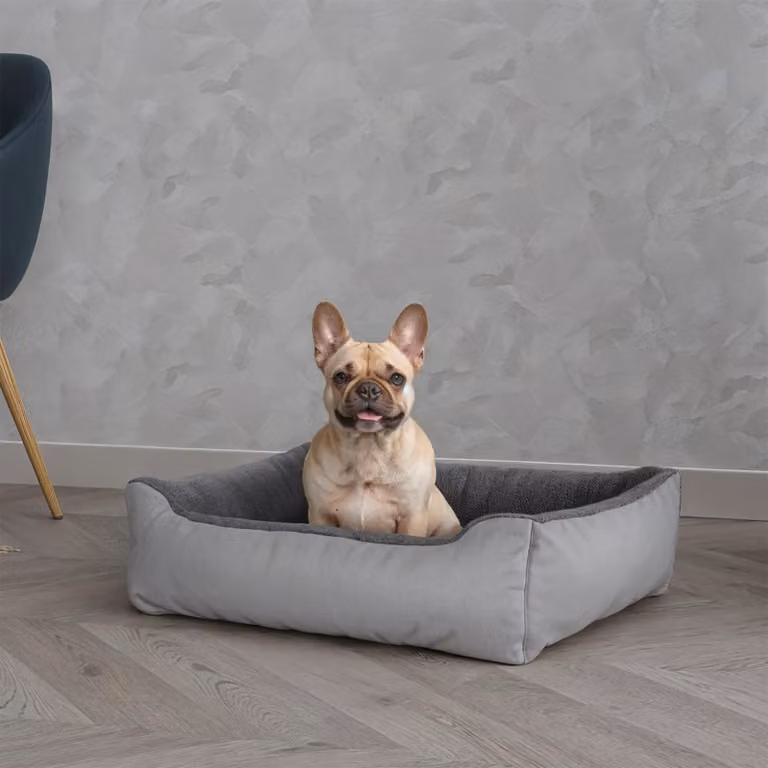 Cuccia per cani reversibile, modello Love, color grigio chiaro, dimensioni 62 x 50 x 17 cm