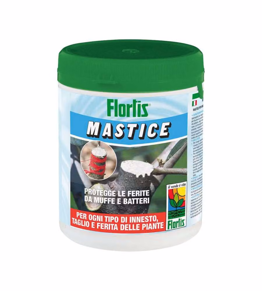 Mastmix Mastice Cicatrizzante 500g