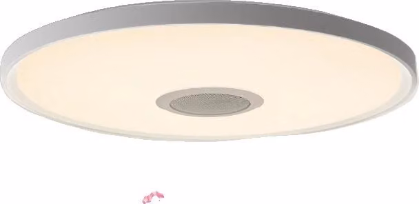 Plafoniera, Controllo intelligente, Altoparlante incorporato, 46 cm