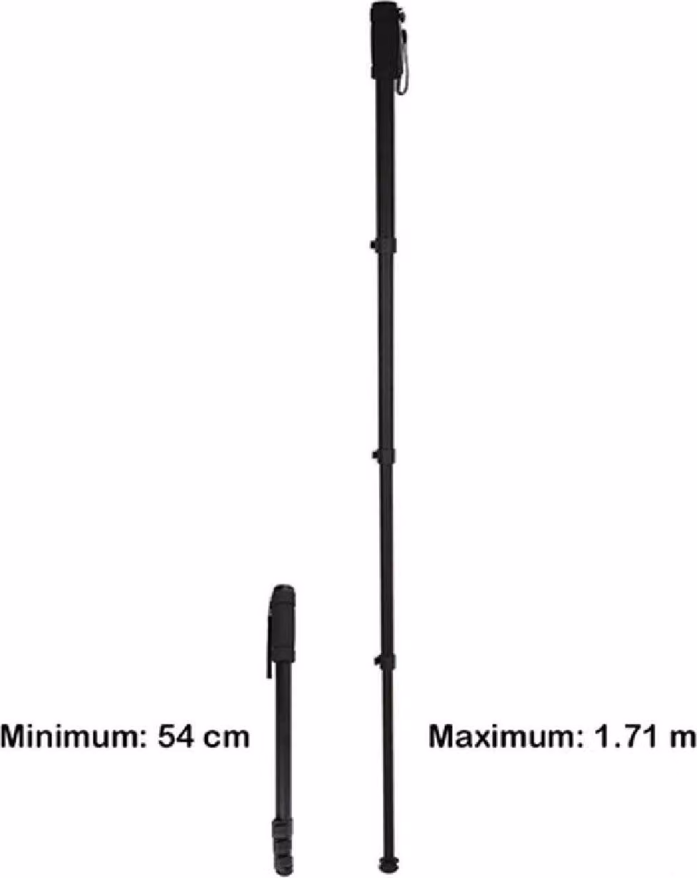 Monopiede Nest WT-1003 H171 cm