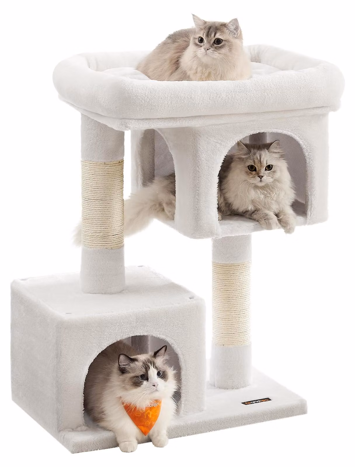 Albero per gatti Feandrea, altezza 79,6 cm, adatto a gatti fino a 7 kg, con 2 rifugi