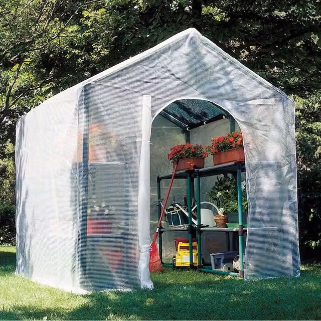 Serra da giardino VERDEMAX Violetta con finestre in PVC trasparente, L 200 x P 200 x H 220 cm