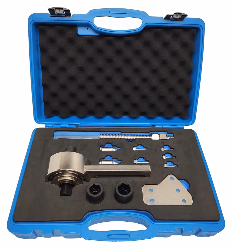 Chiave dinamometrica, rapporto 5:1, compatibile con i motori Ford, blu