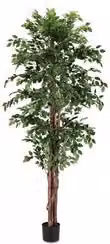 Pianta artificiale Ficus Bizzotto verde, Altezza: 210 cm