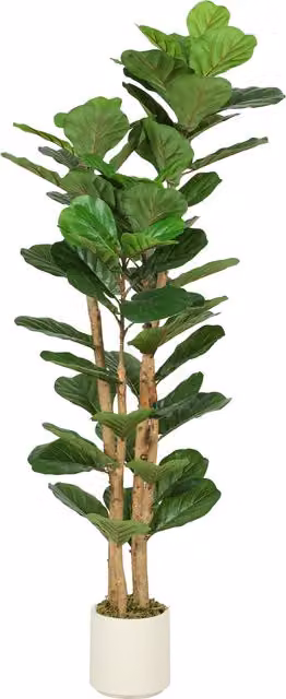 Pianta di Fico Artificiale Verde HOMCOM con Vaso in Cemento e Legno, H 150 x L 50 x P 50 cm – 1