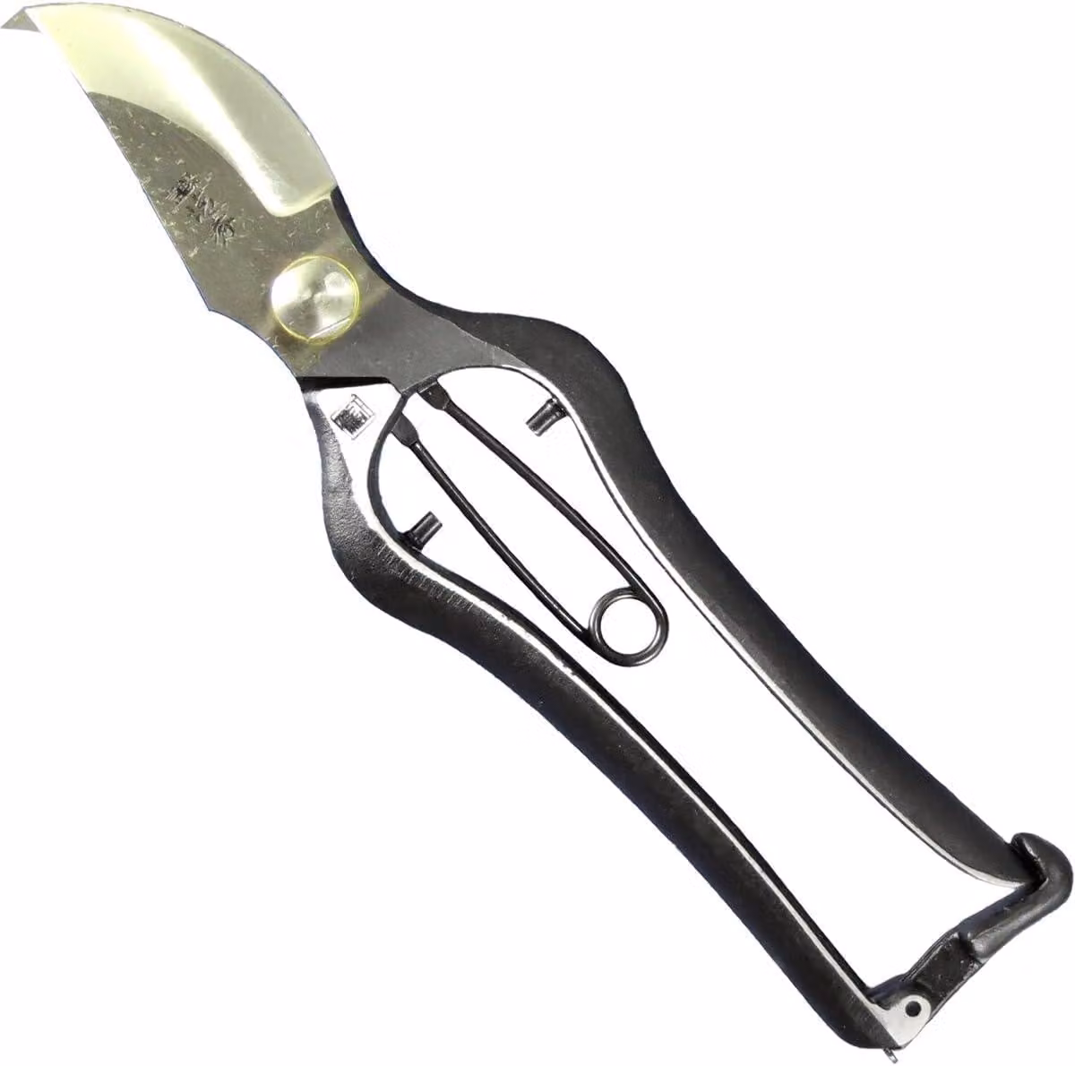 Forbice da giardino, 200 mm, lama da 60 mm, 230 g, con sistema di sicurezza, per uso in giardino