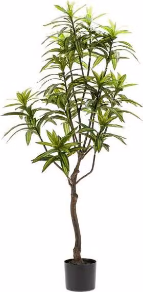 Pianta artificiale Dracaena Ø130cm - pianta verde artificiale per soggiorno