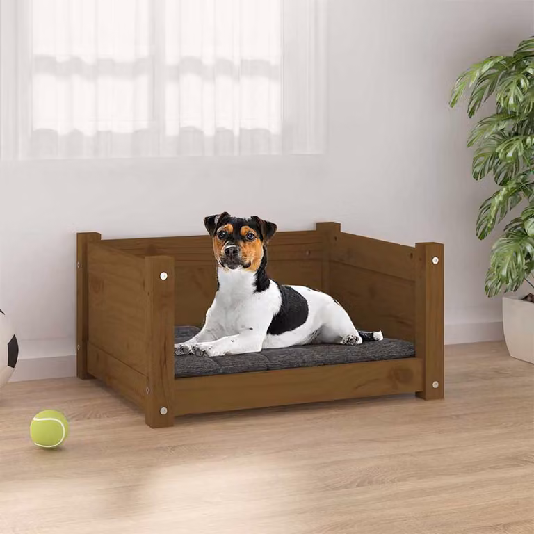 Cuccia per cani vidaXL in legno di pino massello, colore marrone e grigio, L: 55,5 cm, P: 45,5 cm, H: 28 cm