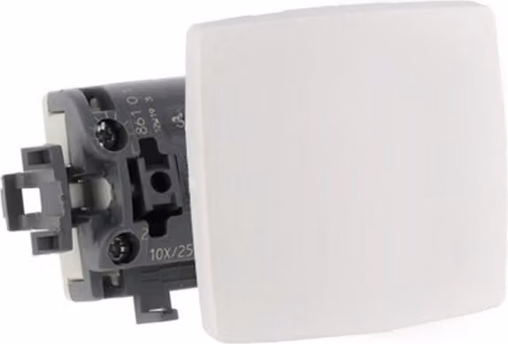 Sezionatore 10A Oteo LEGRAND 086101 Bianco