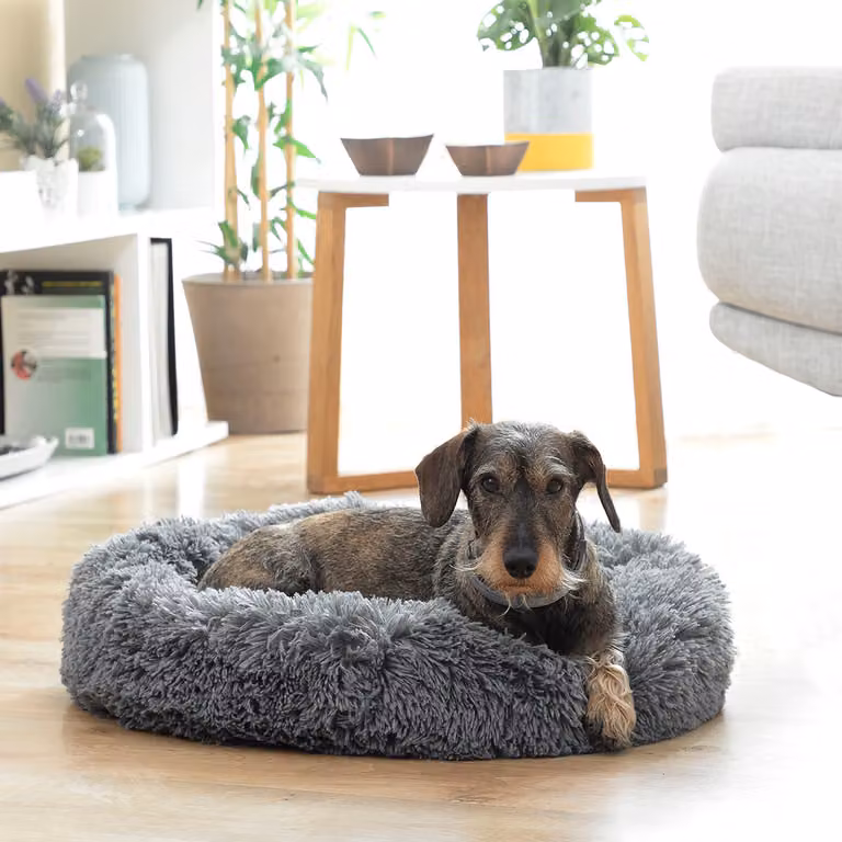 Letto Antistress per Animali Domestici Bepess InnovaGoods Ø 60 cm