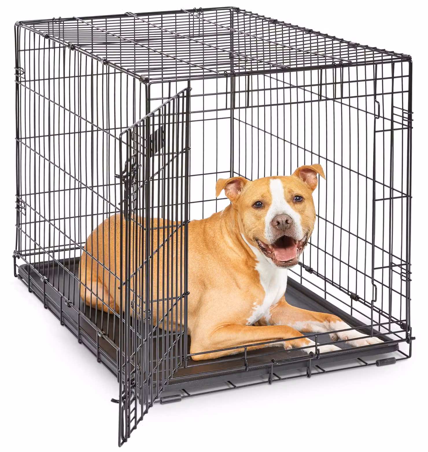 Trasportino pieghevole per cani Midwest Homes for Pets, con 1 porta, divisorio interno e fondo antiscivolo