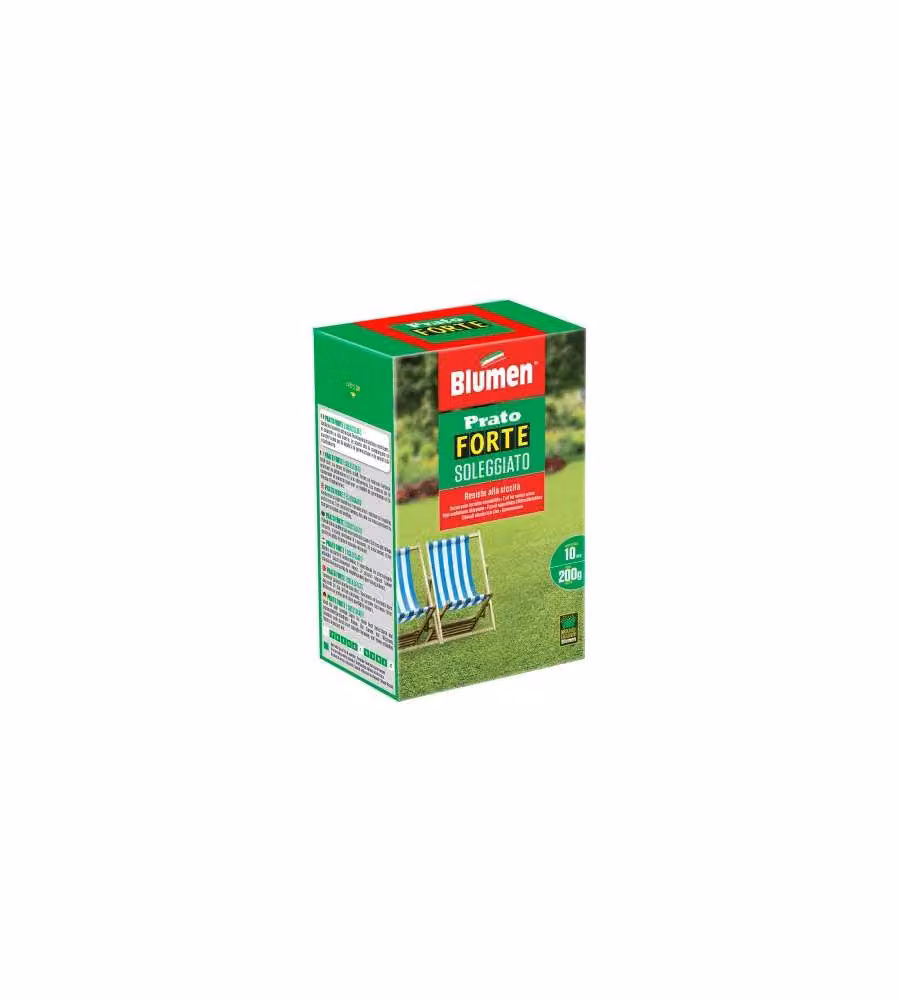 Blumen Prato Forte Soleggiato 200 g - Semi prato verde per sole e calpestio