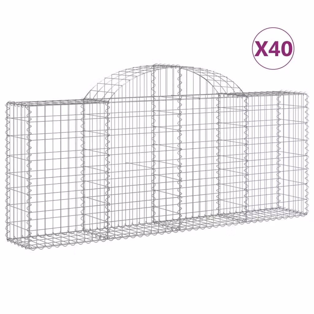 Cesti Gabbioni ad Arco 40 pz 200x30x80/100 cm Ferro Zincato