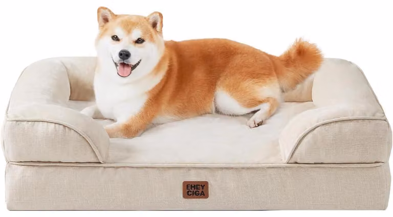 Cuccia ortopedica per cani, 89x56 cm, realizzata in memory foam con bordo rialzato, lavabile, impermeabile, antiscivolo, color beige