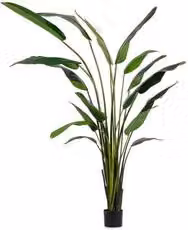 Pianta artificiale Strelitzia verde con 18 foglie Bizzotto