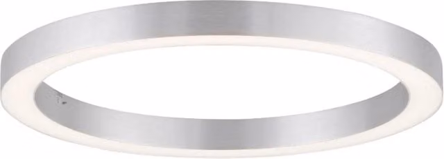 Plafoniera LED 30W 50cm grigia con telecomando Neuhaus