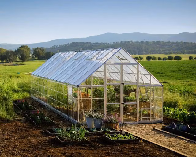Serra da giardino Palram Balance Ibrida in policarbonato e alluminio, Argento, L: 964 cm, P: 304 cm, H: 257 cm