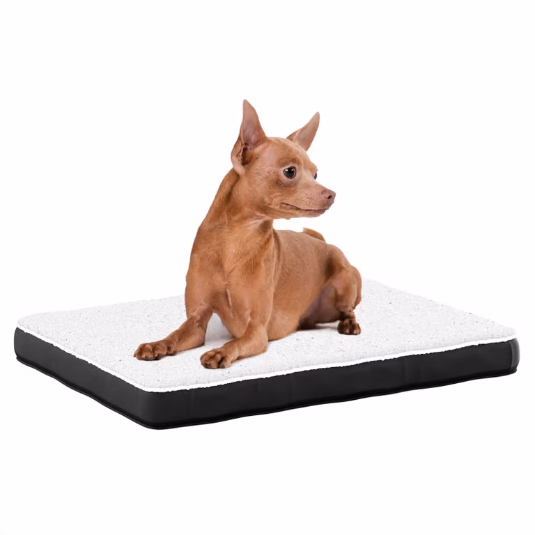 Avalo Cuscino Ortopedico per Cani S - 45x65 cm - Lavabile / Memory Foam / Antiscivolo - Cuccia Ortopedica per Cani