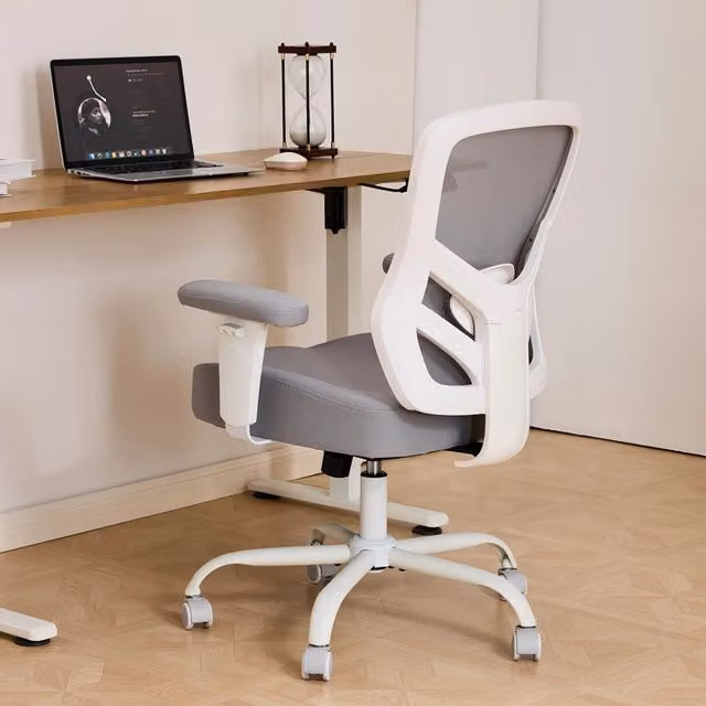 Sedia da ufficio ergonomica OKWISH in pelle grigia con supporto lombare regolabile e braccioli 2D L: 61 cm, P: 28 cm, H: 58 cm