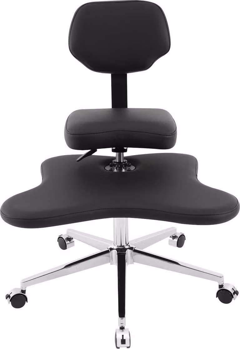 Sedia da ufficio ergonomica - Sedia girevole - Regolabile in altezza - Rotazione a 360° - Capacità di carico: 150 kg - 5 ruote con freno - Rivestimento in ecopelle, struttura in metallo - Con schienale - Colore: nero