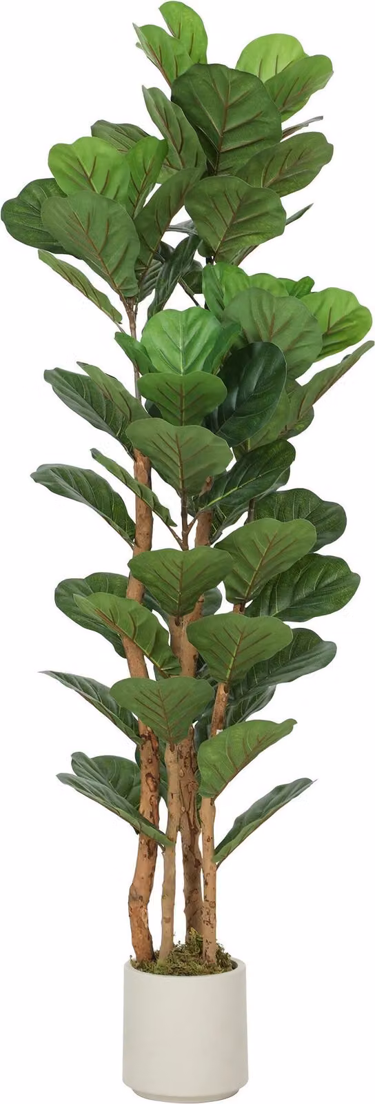 Albero di fico artificiale a foglia di violino, 71 foglie, 150 cm di altezza